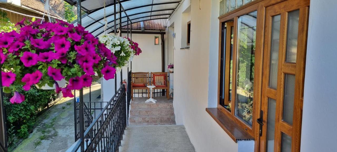 Citadel Rooms Kluż-Napoka Zewnętrze zdjęcie